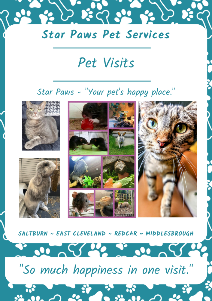 Pet Visits